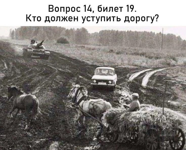 Фото из свободного доступа 