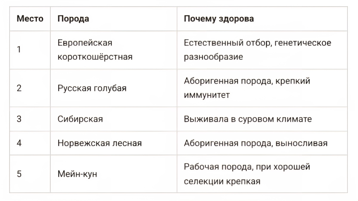 Таблица с топ-5 пород и их особенностями