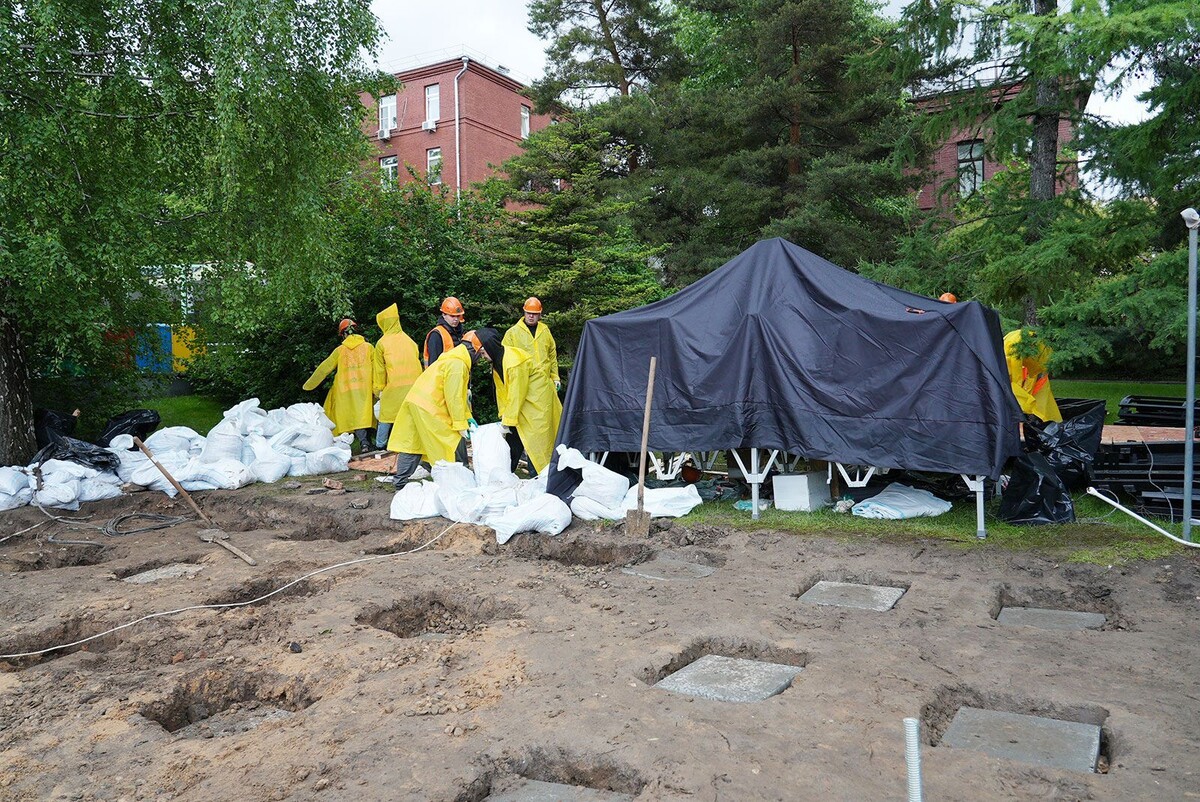    В Московском зоопарке стартовал второй этап строительства вольера для панды Катюши