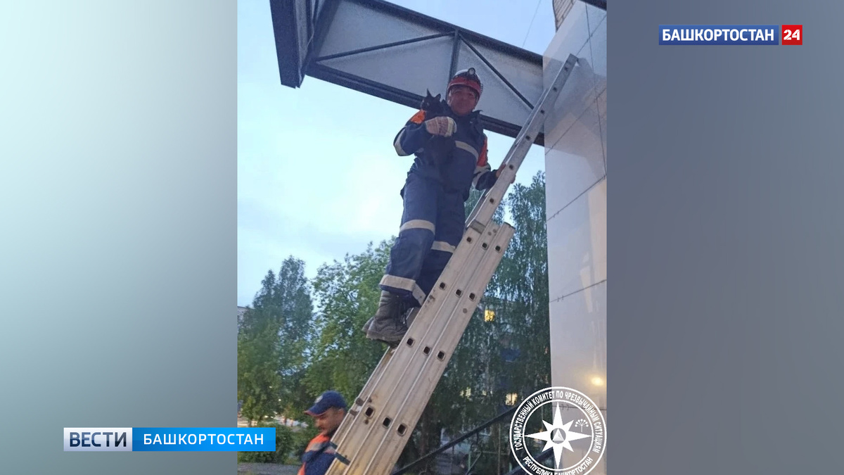    Спасатели МЧС Башкирии сняли кошку-альпинистку с рекламного щита