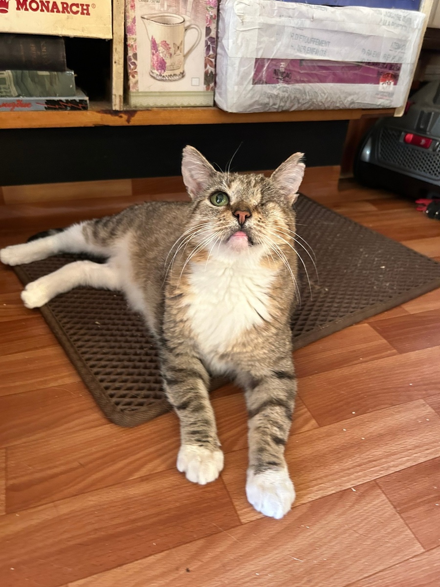 -2