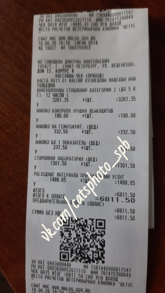 Чек от 10.06.2026 на сумму 6811,50 руб. за инфекционный стационар/анализы крови Лейкоциты+БХ+гематокрит/расходные материалы Персику.