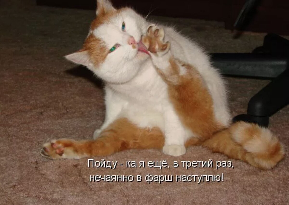 источник Яндекс-картинки