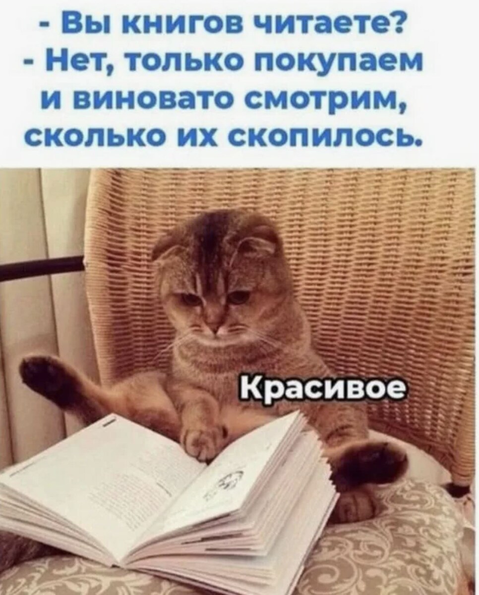 источник Яндекс-картинки