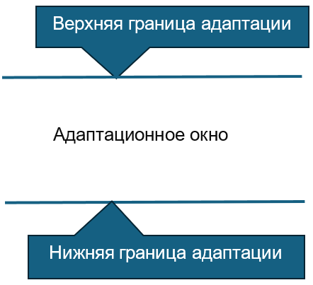 Адаптационное окно психики.
