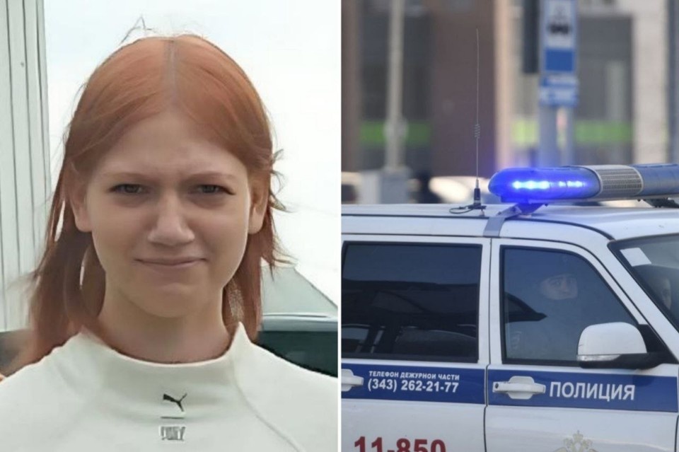    Фото: «ЛизаАлерт» Ольга ЮШКОВА