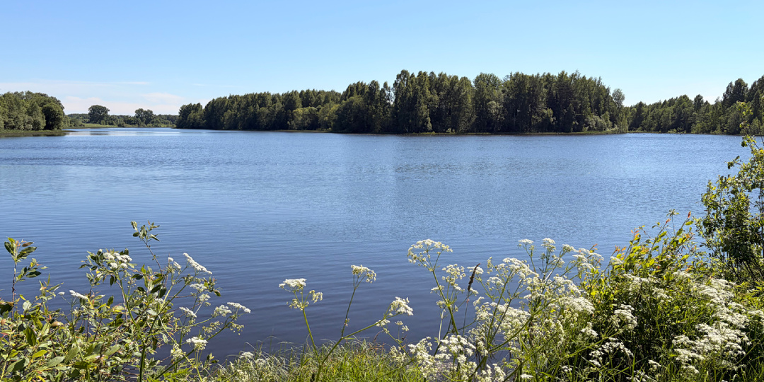 Шиям: благодатный водоем недалеко от Кирова