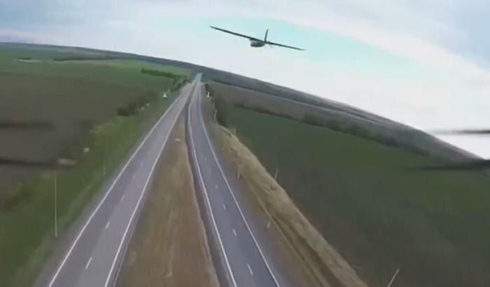 Обложка © Telegram / Владимир Сальдо