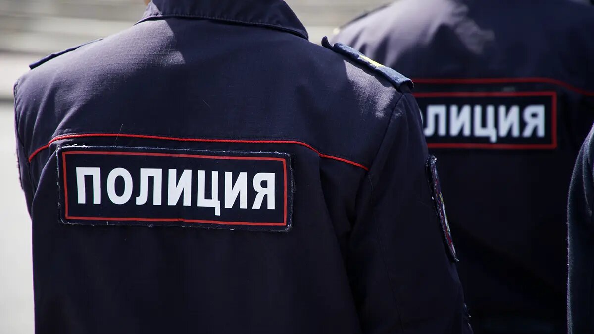    Источник: vm.ru/ Анастасия Захарова
