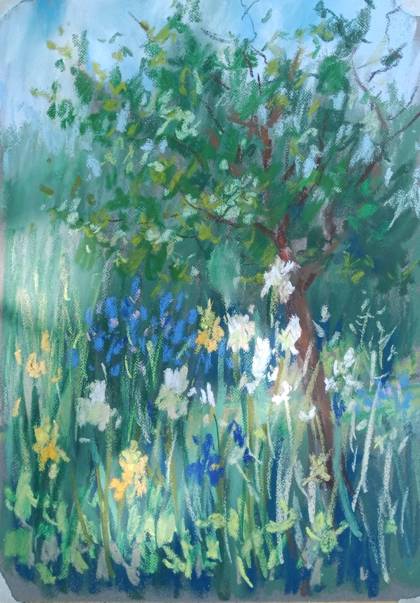 Дача. Яблоня. Ирисы. 