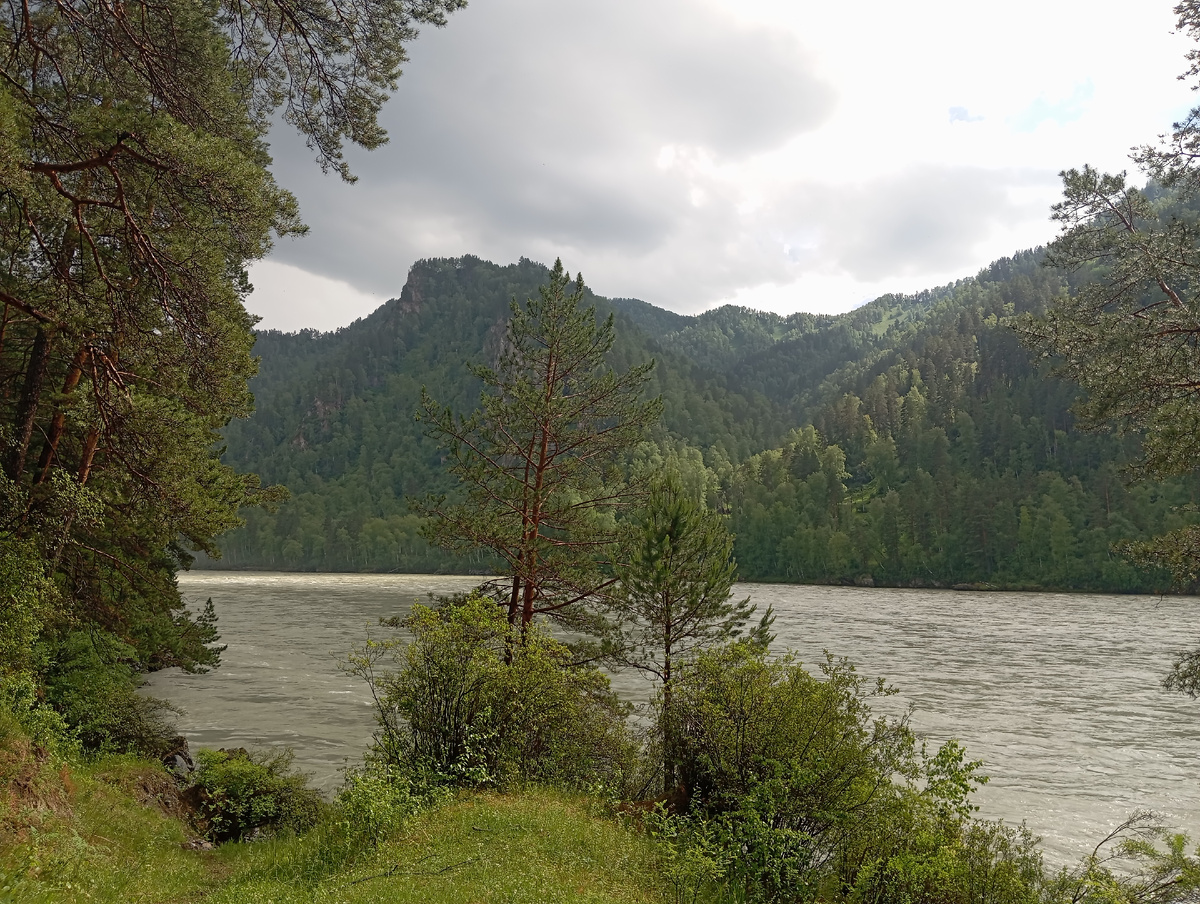 В селе Чепош