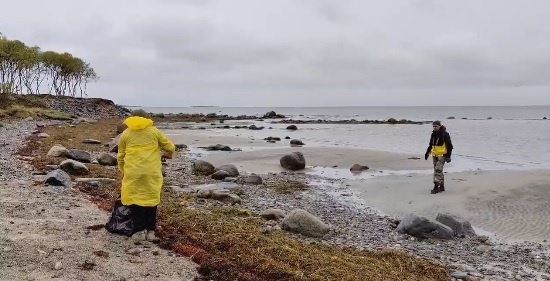    фото: скриншот из видео, https://vk.com/dobrocentr10