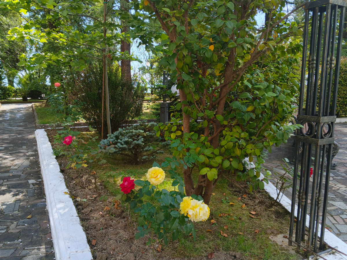 "Amra Park‑Hotel & Spa" в Гагре. Абхазия-2026