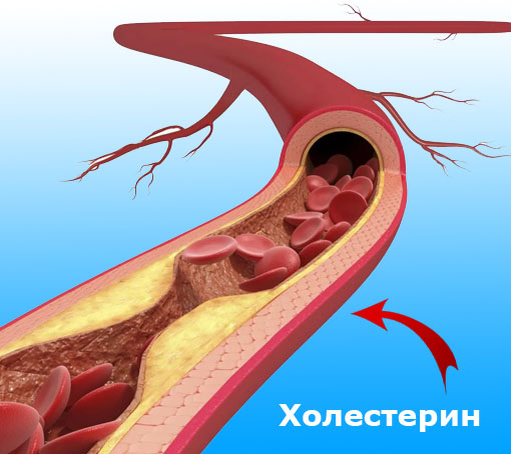spbmz.ru