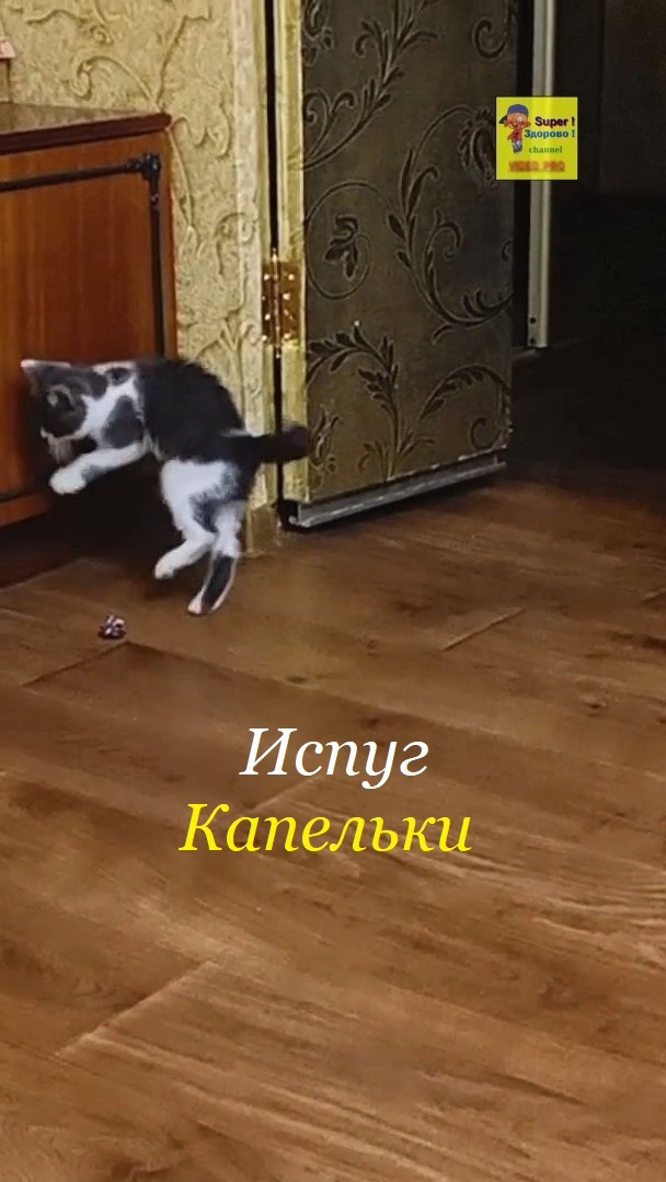 Посмеёмся вместе )))