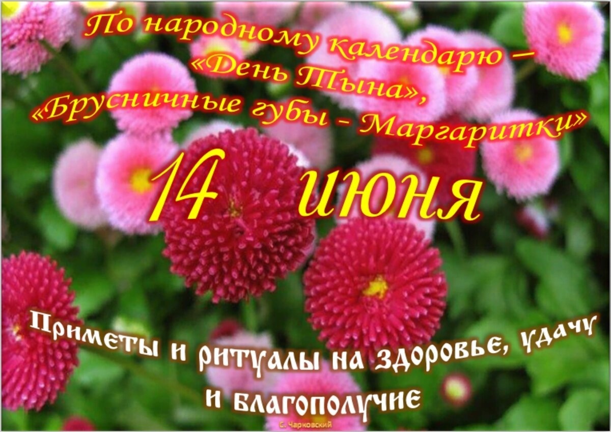 Встречаем новый день