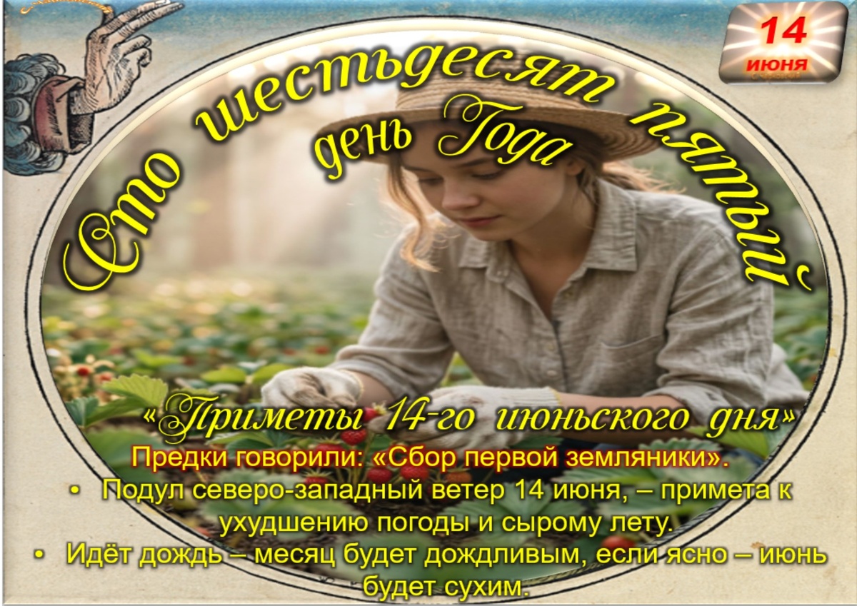 Встречаем новый день
