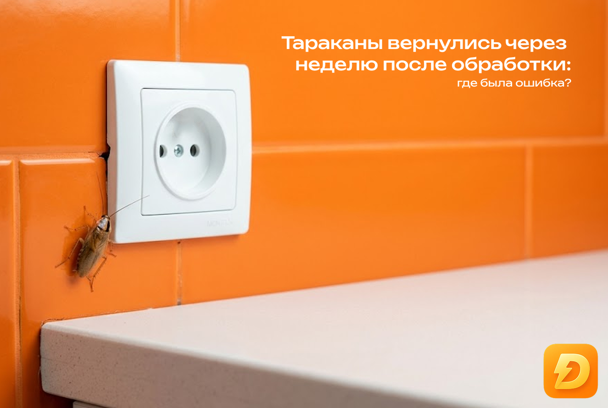 1000 ₽ на первый заказ в Дели Дела — приятная скидка, если решите вызвать мастера вместо самостоятельного ремонта.