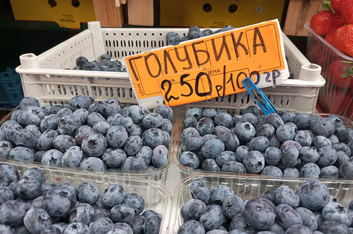 Фото Виолетты ГАВРИЛЕНКО.
