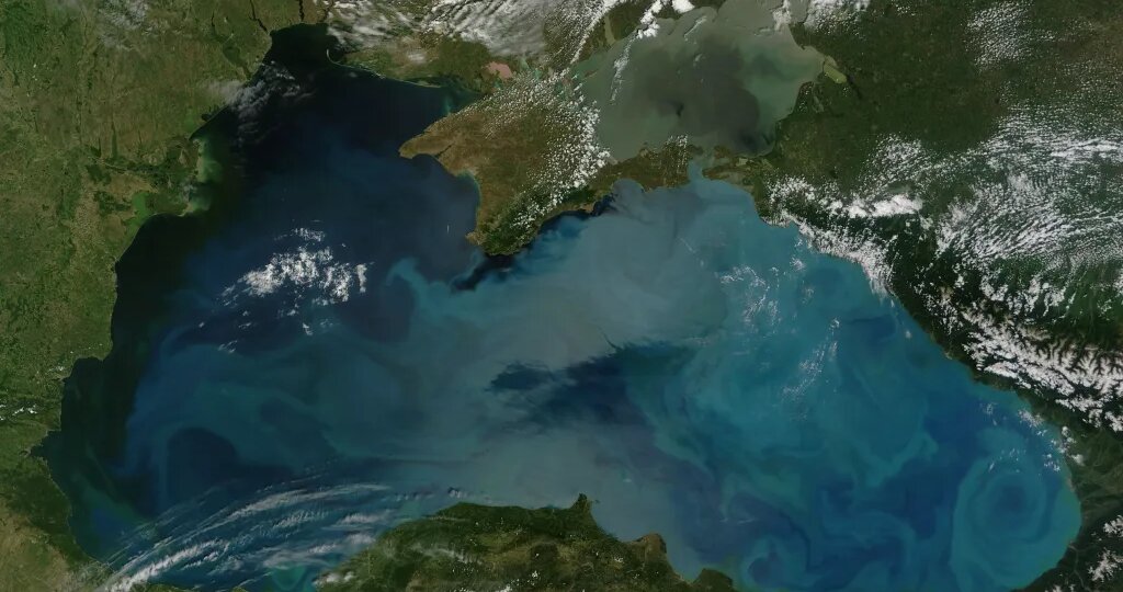 Массовая гибель рыбы у берега. Мутные пузыри. Черное море опасно не только нефтяным пятном