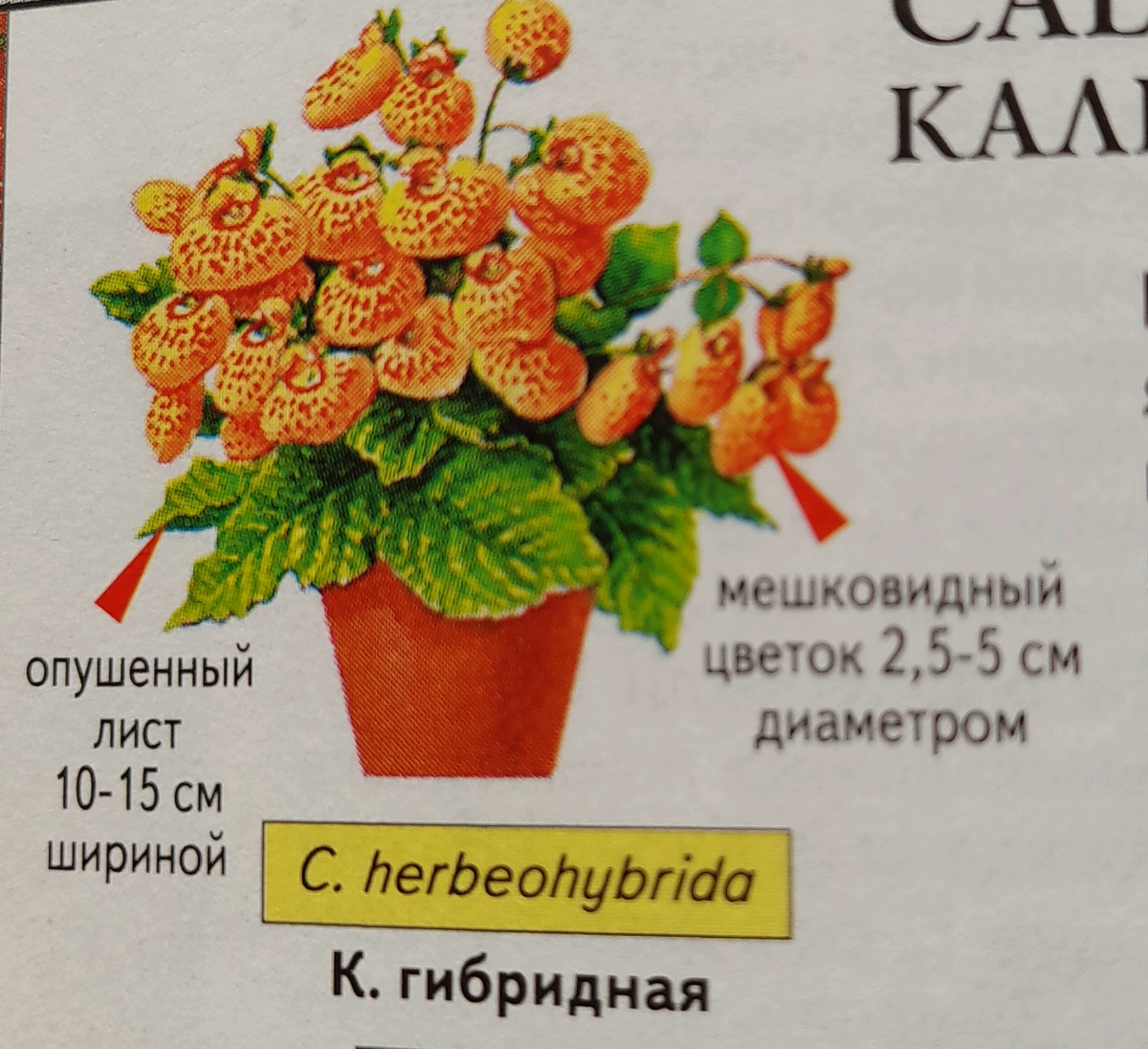 Фотоавтора канала