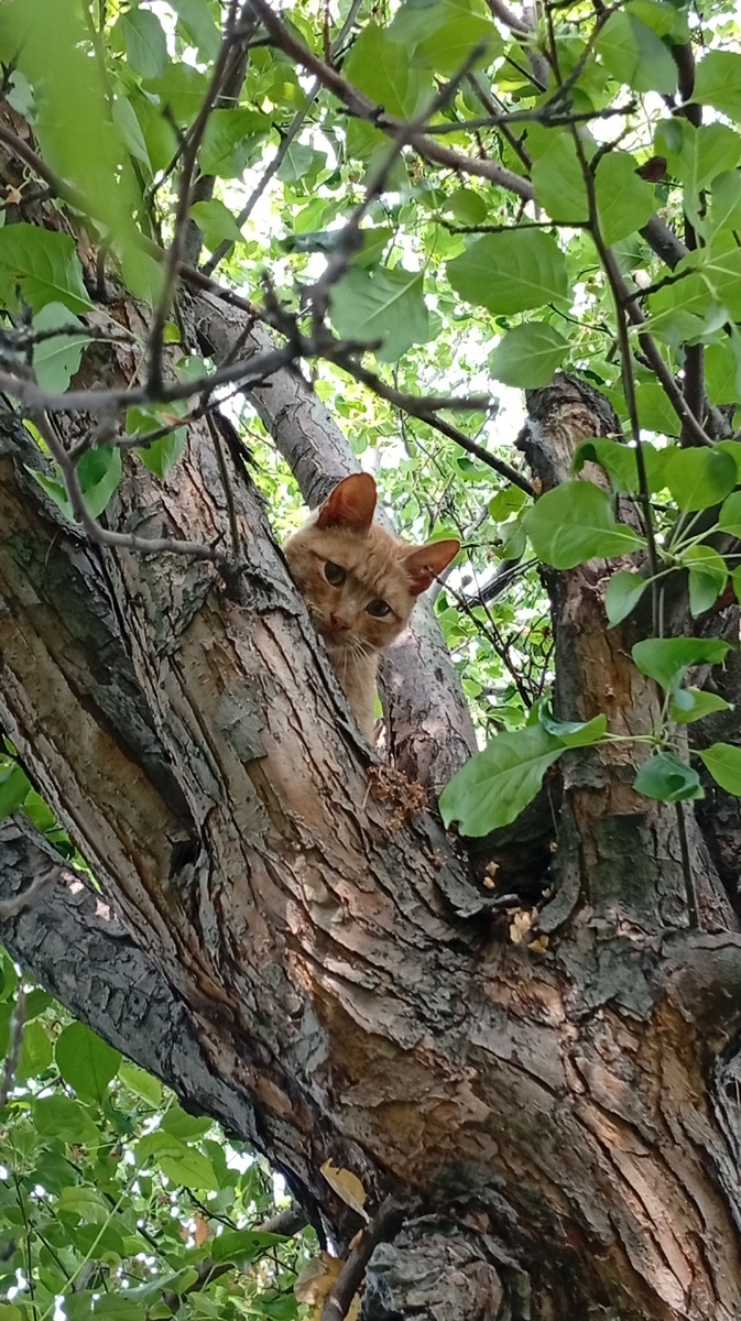 Фото из личного архива