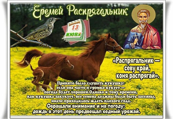 свобод.источник