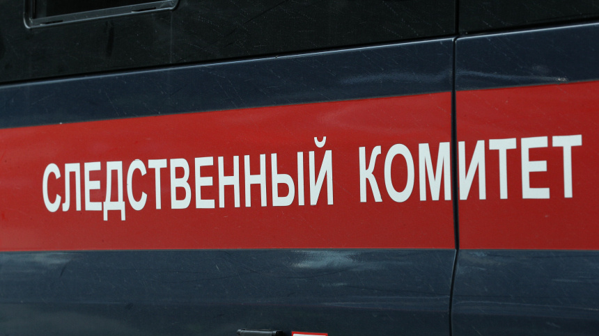    Фото: ИЗВЕСТИЯ/Михаил Терещенко