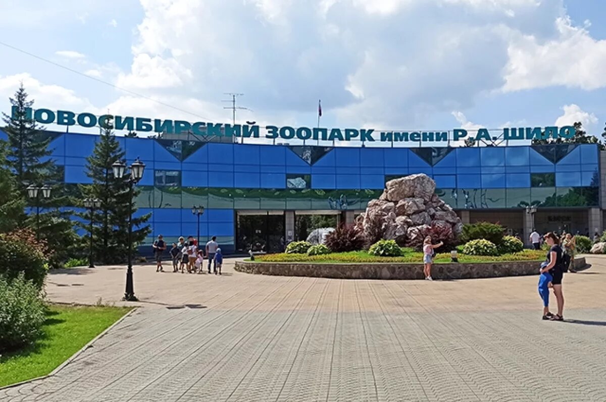    В зоопарке Новосибирска напомнили о бережном отношении к диким уткам