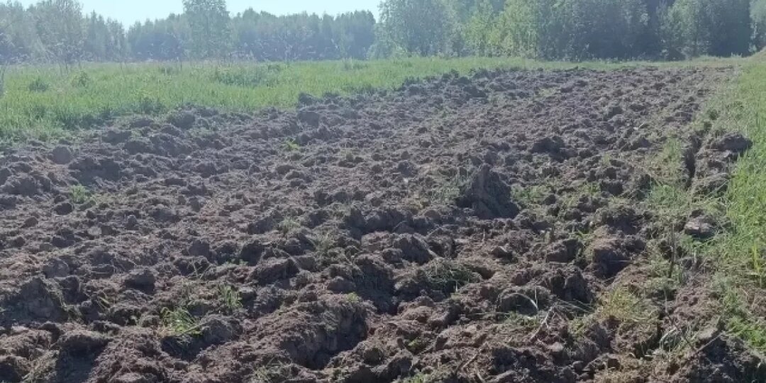 Четыре поселка под Томском защитили от огня минерализованными полосами