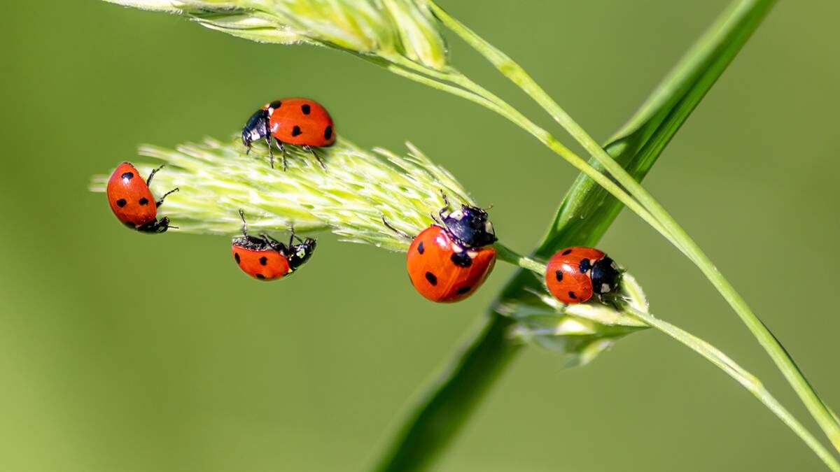    Фото: Shutterstock