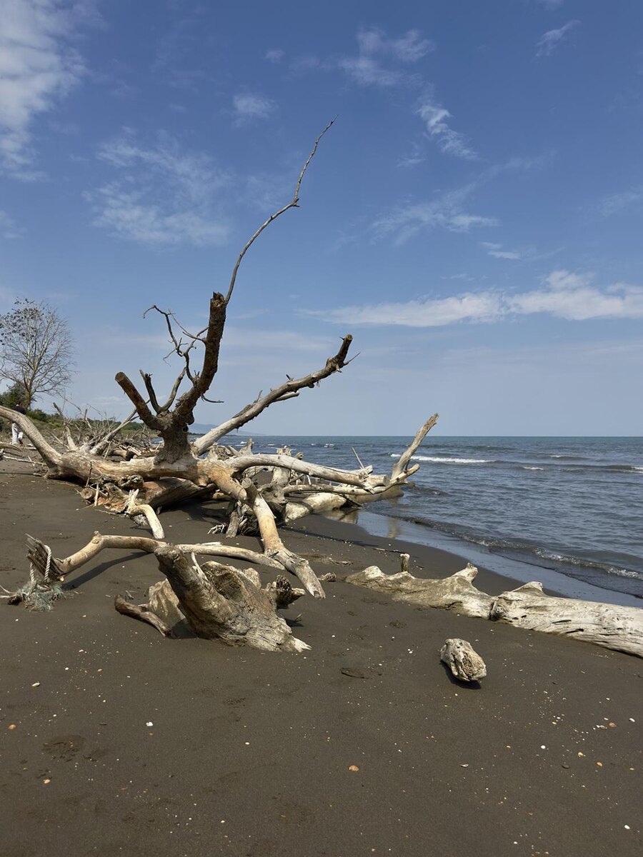 Полина Дмитриева📷На побережье Каспийского моря