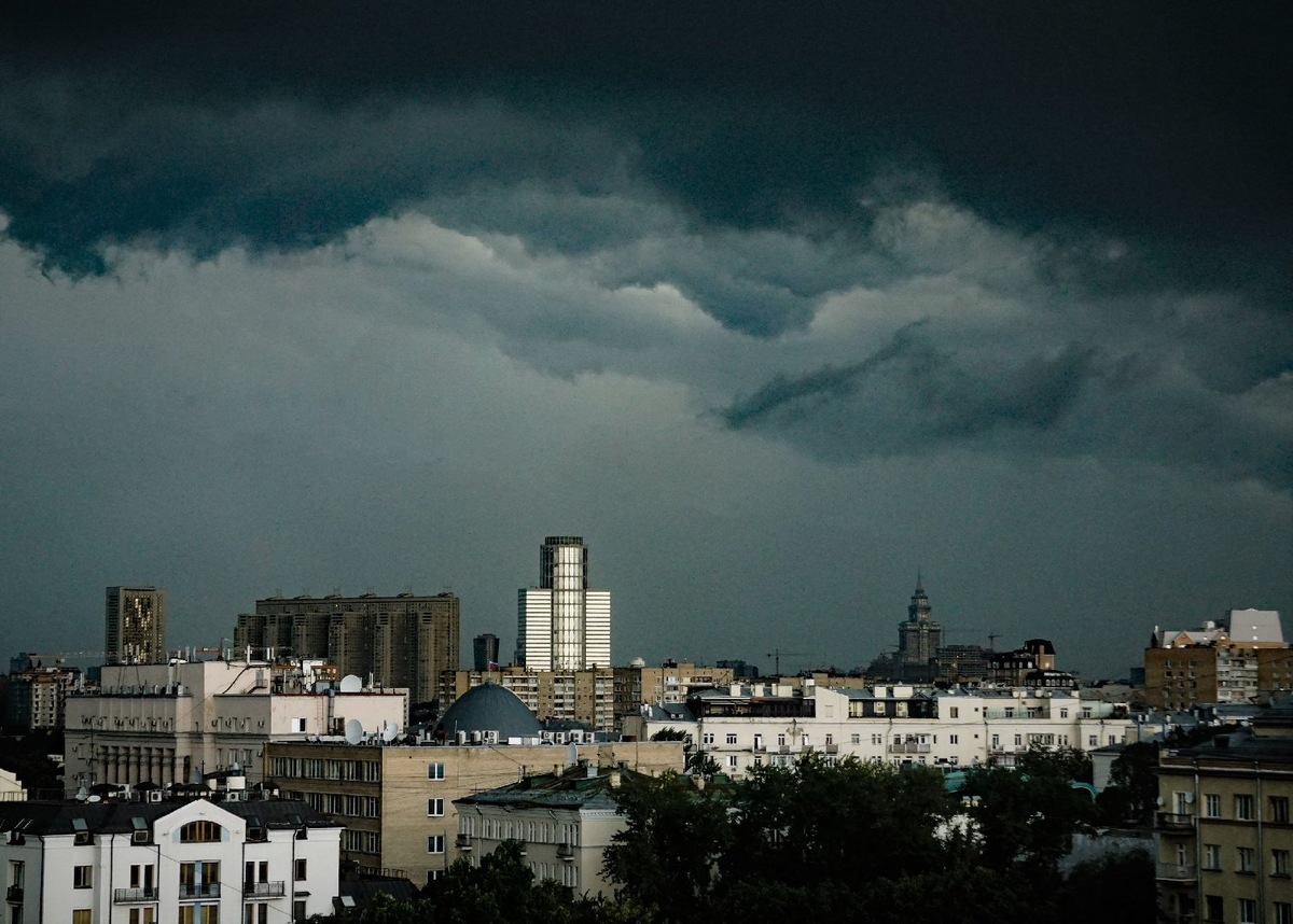    Фото: Istock/Anastasia Koroleva