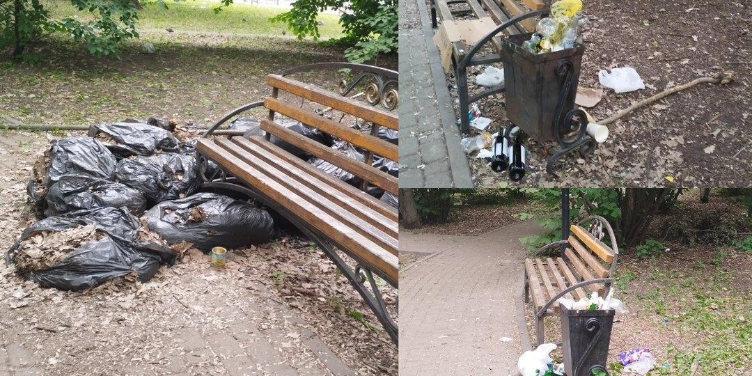 «Сердце содрогнулось»: воронежцы просят привести в порядок уникальный парк-памятник