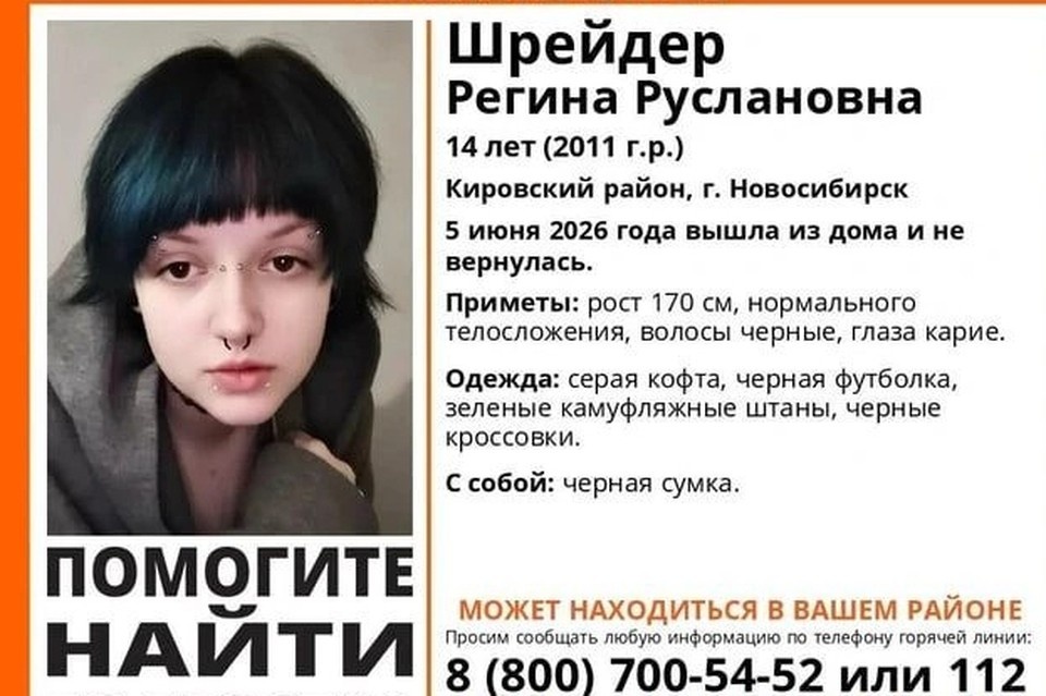    Девочку не видели с 5 июня. Фото: поисковой отряд "Лиза Алерт" Новосибирской области