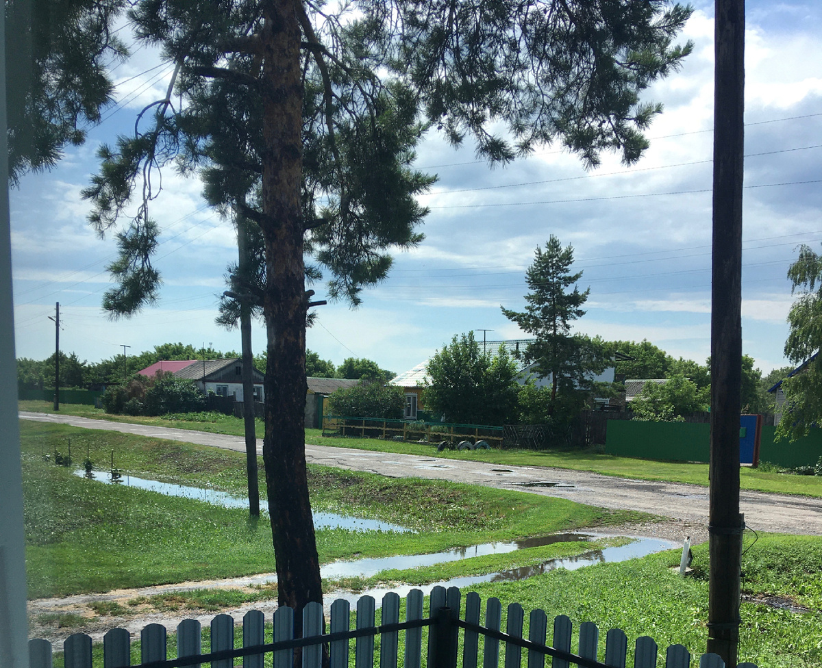 Вода в лужах 