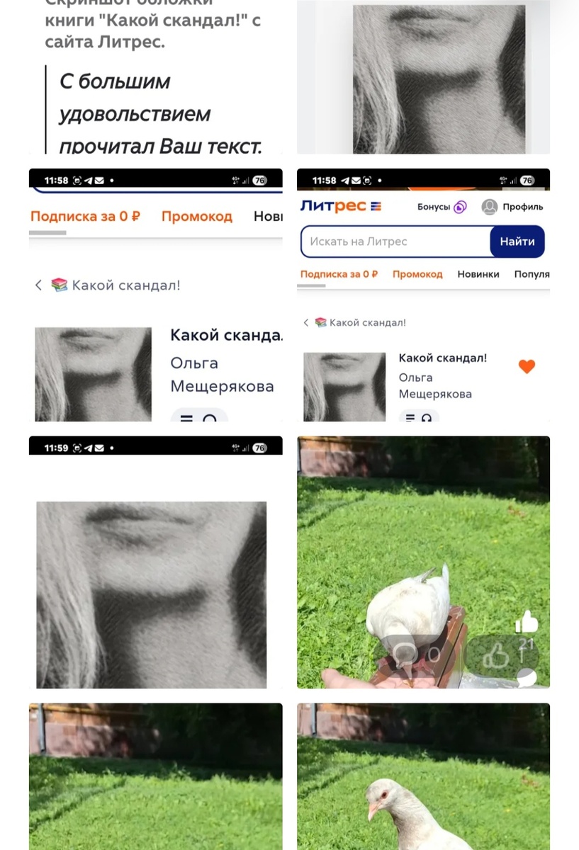 Фотоколлаж - собственность автора канала "ТАК НАДО".