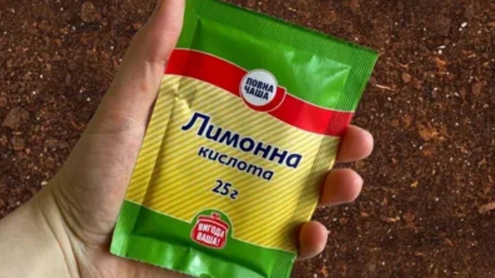 Лимонная кислота из магазина — дешевле и удобнее в дозировке, чем уксус
