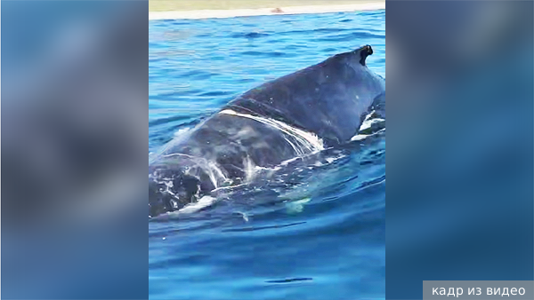     Фото: кадр из видео   
 Текст: Тимур Шайдуллин, Татьяна Косолапова