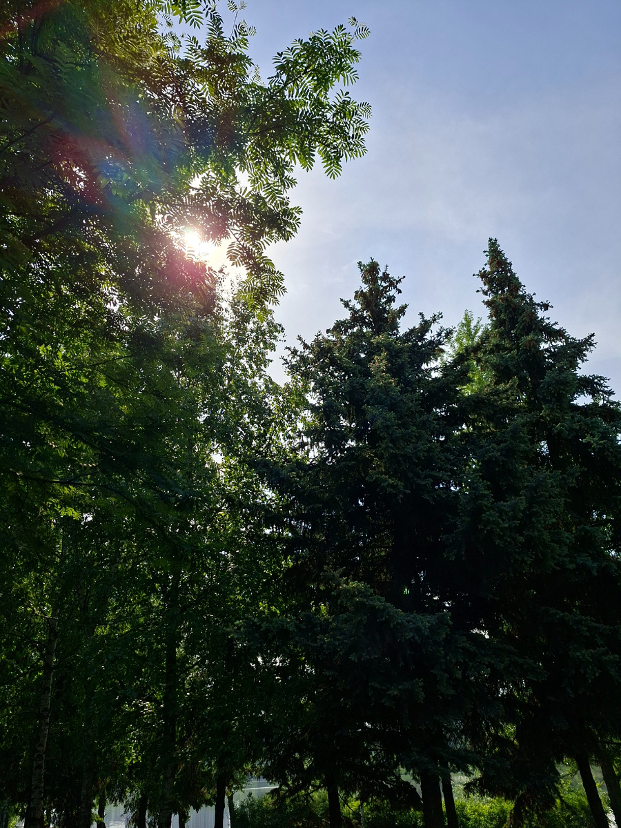 В парк хочу, на лоно природы, под сень лесов.  Можно и на море, но море далеко, поэтому хотеть не вредно, вредно не хотеть