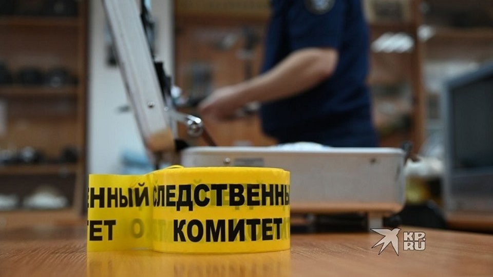 «Заманили за гаражи»: в Краснотурьинске школьники жестоко расправились с 15-летней девушкой