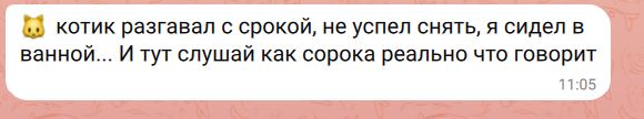 Рома подслушал разговор кота с утренней гостьей