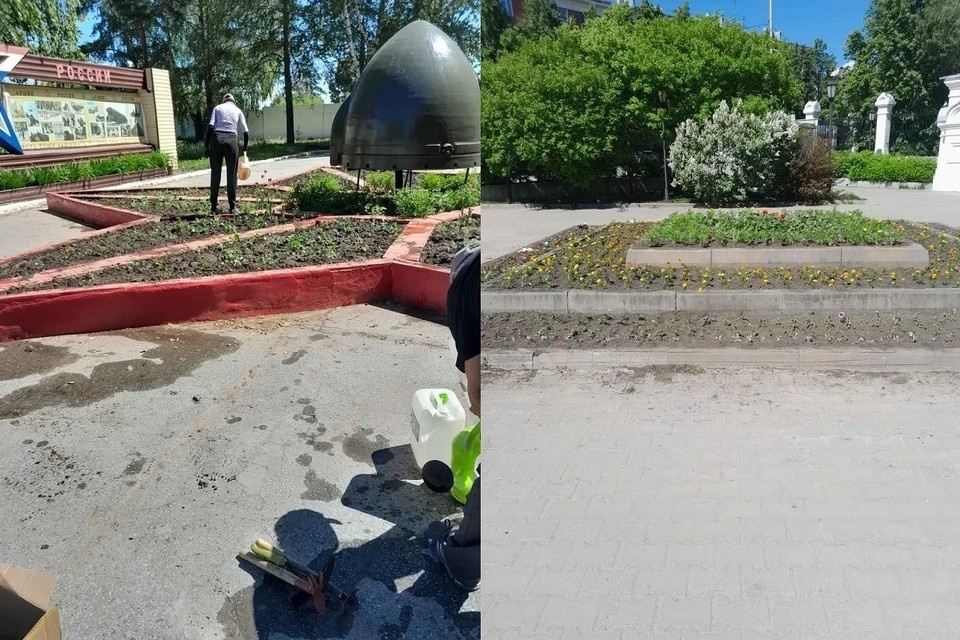    Работы по озеленению прошли на нескольких улицах. Фото: мэрия Новосибирска