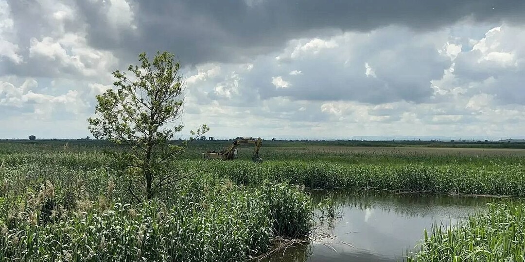 Более 2,2 тыс. га посевов подтопило после прорыва дамбы в Крымском районе Кубани