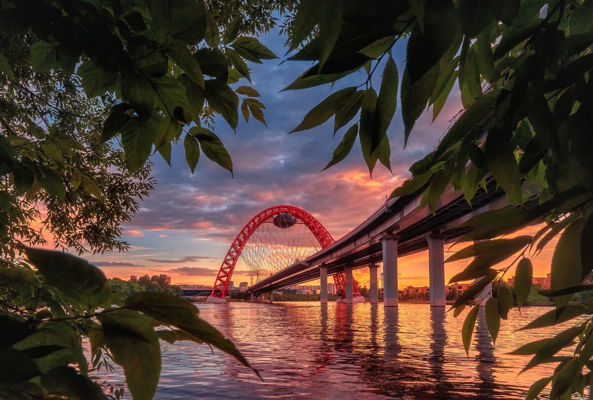 Фото из открытого источника
