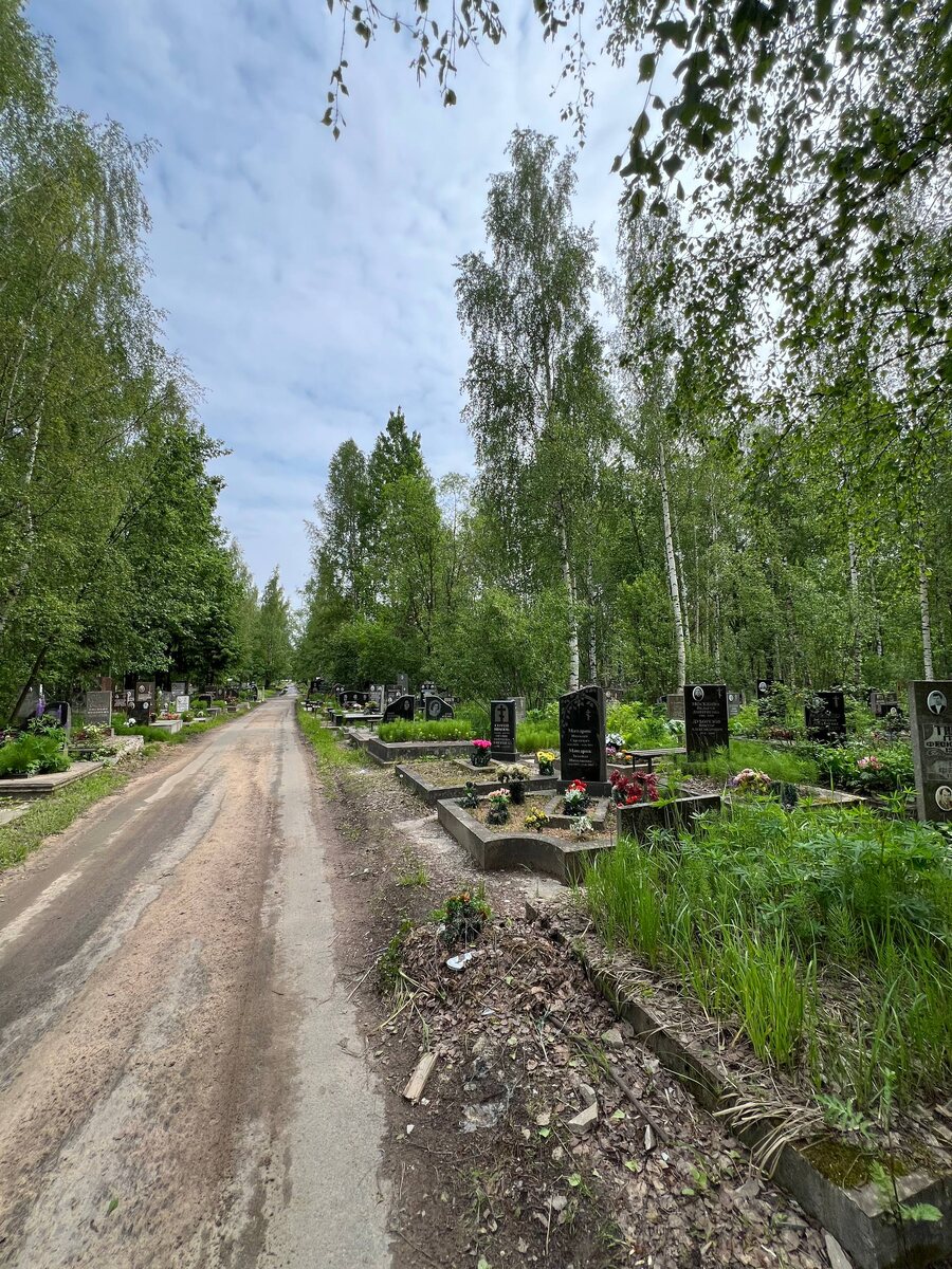 11 июня 2025 года. Свой ДР в прошлом году я встретил на Южном кладбище СПб. Фото из личного архива автора. 