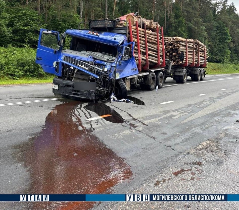    Водитель Mercedes уснул и столкнулся с лесовозом. Фото: УГАИ УВД Могоблисполкома.