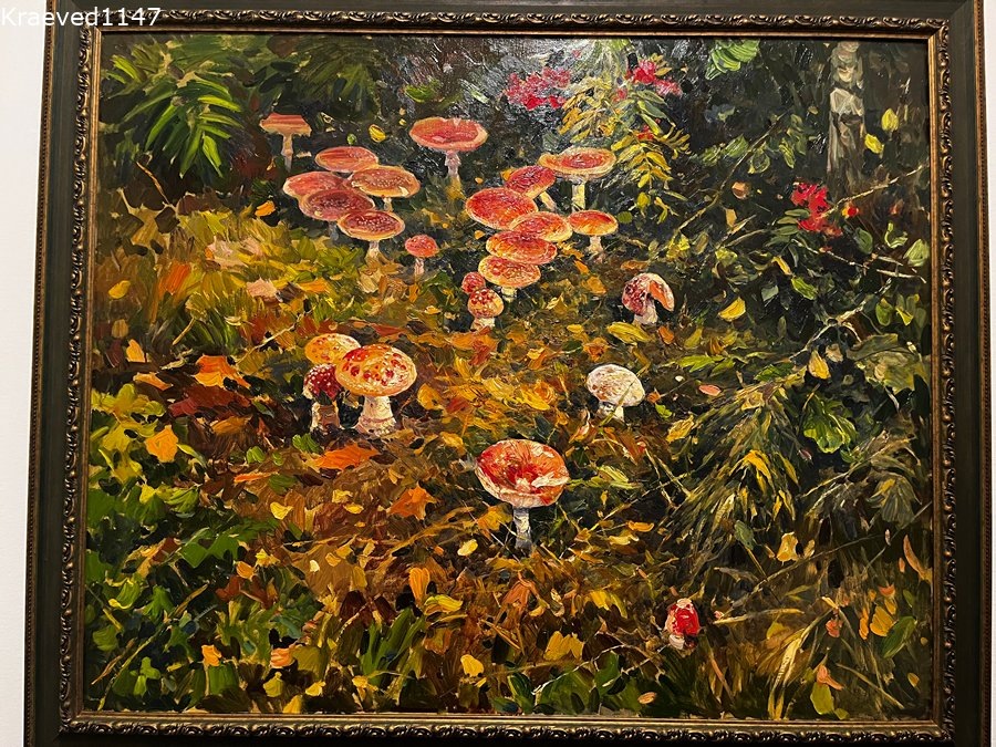 В.Нестеренко. Мухоморы. 2003 год. 