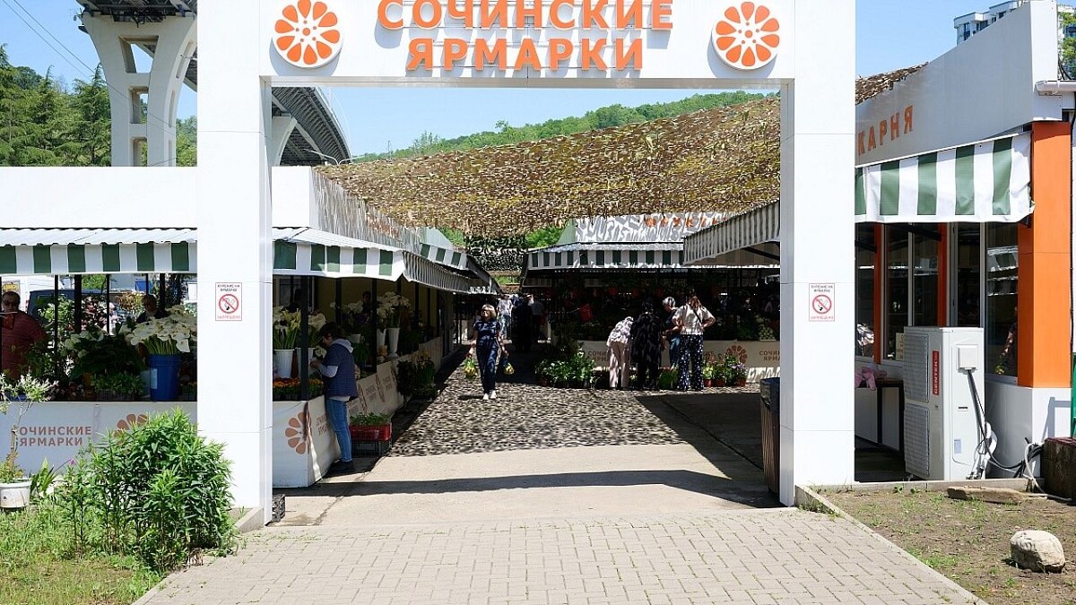    Фото: пресс-служба администрации Сочи