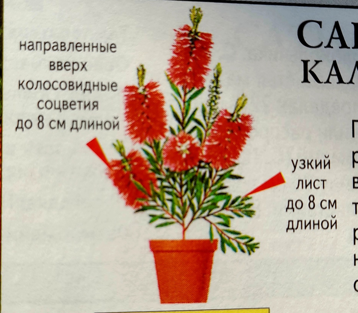 Фото автора канала